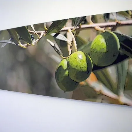 Casa Karavola In Village-naxos Apartman Galanado